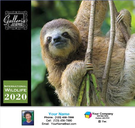 ReaMark Products: International Wildlife